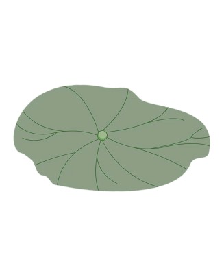 Lotus Leaf Diatom Mud Floor Mat
